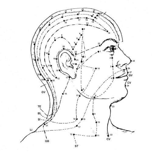 Acupuntura CEIMEC Meridianos Acupuntura CEIMEC Meridianos