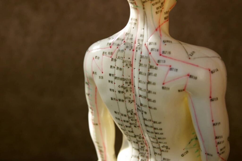 Arquivo: Curso para Prova de Título em Acupuntura 2017 (TEAC)
