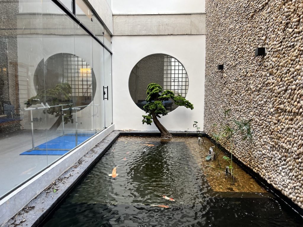 Agulhamento a seco (Dry Needling): O que é e para que serve 3 CEIMEC JAU