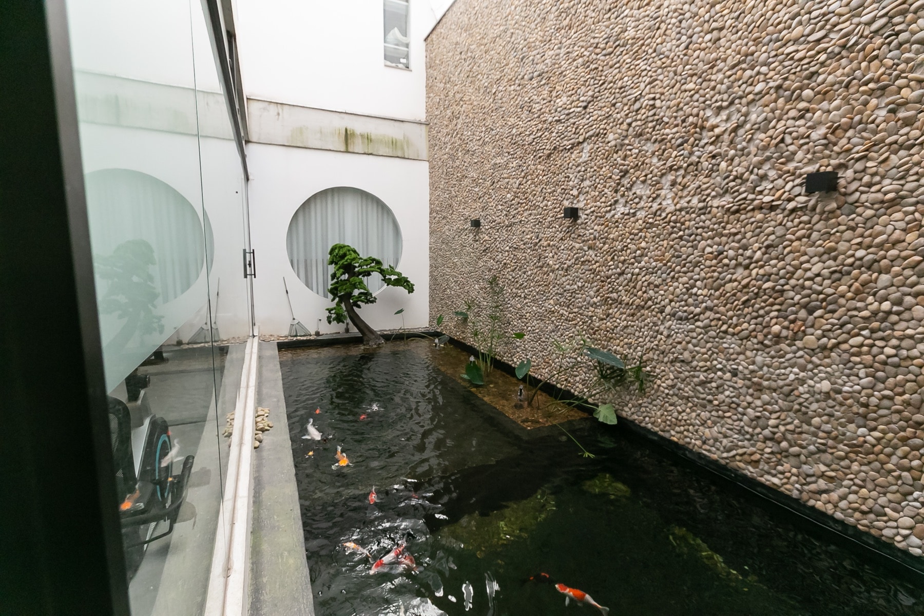 Área interna do CEIMEC com jardim e circulação