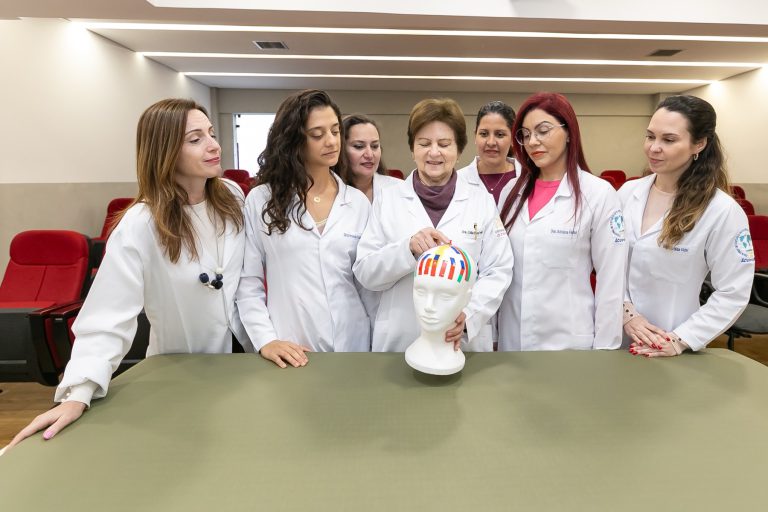 Equipe médica estuda anatomia da cabeça com modelo